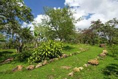 La Ecovilla, an eco-village for suistainable living, Design Will Save The World