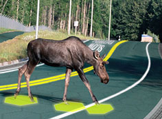 Solar roadways: highway to the future, Design Will Save The World