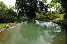 La Ecovilla, an eco-village for suistainable living, Design Will Save The World