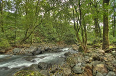 La Ecovilla, an eco-village for suistainable living, Design Will Save The World