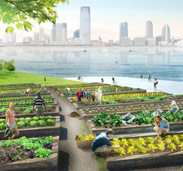The Green Loop composting islands for New York City, Design Will Save The World